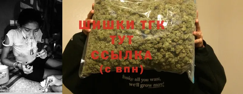 Каннабис OG Kush  Уяр 